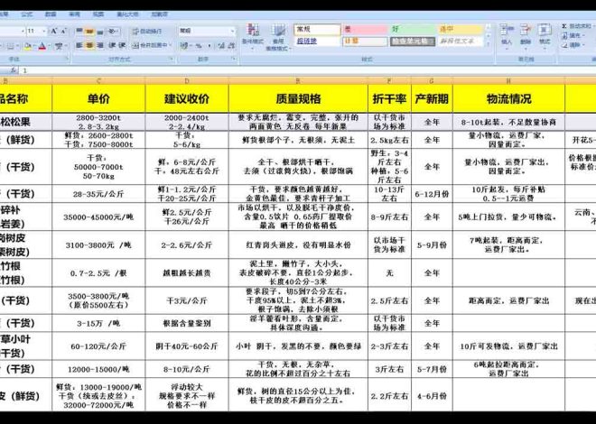 现在、未来，将会有很多80 90后，被动或主动通过互联网搞项目谋生！掌握独立站这个技能后，你可实现城乡生活自由！