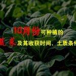 10月份可以种植的蔬菜及其收获时间、土质条件