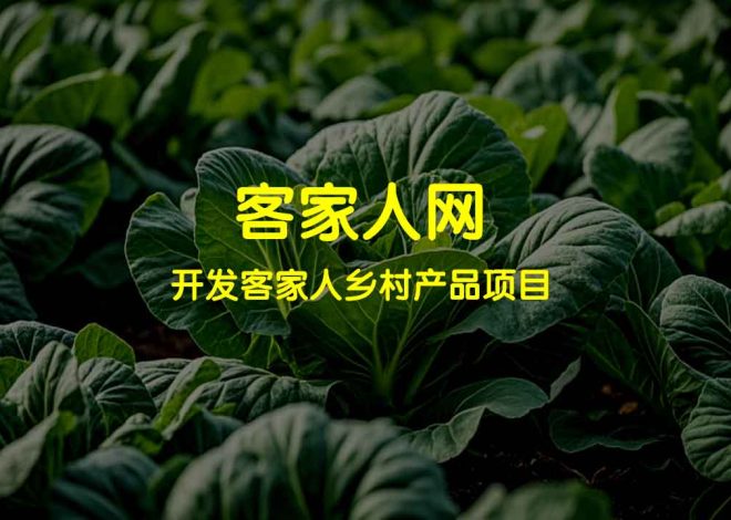 12月份可以种植的蔬菜及其收获时间、土质条件