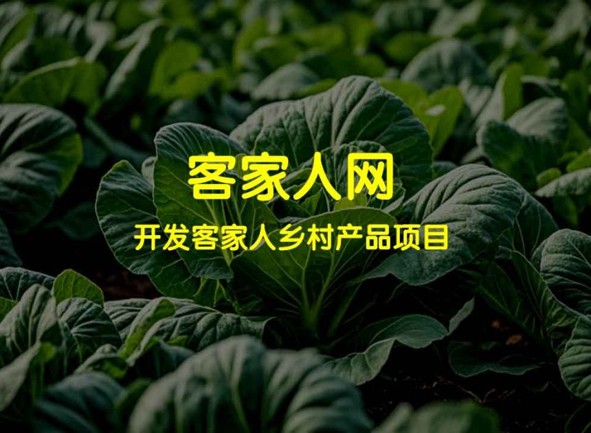 12月份可以种植的蔬菜及其收获时间、土质条件