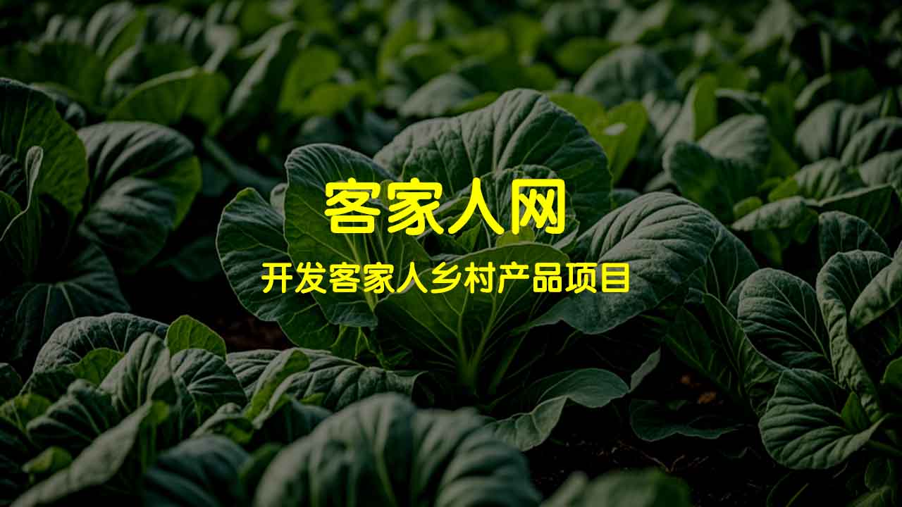 11月份可以种植的蔬菜及其收获时间、土质条件